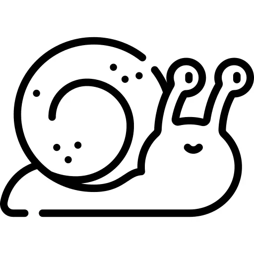 Snail