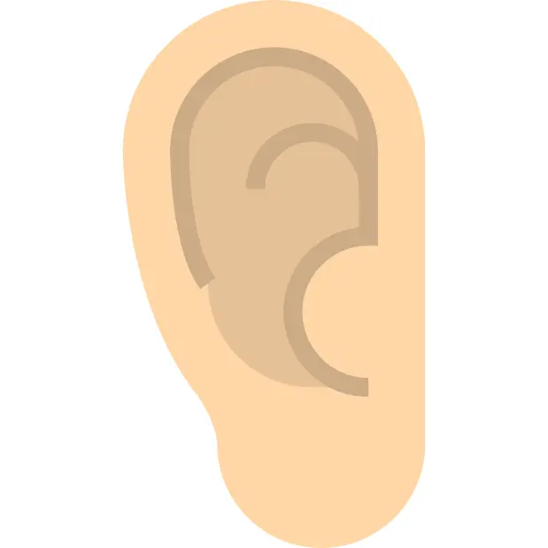 Ear