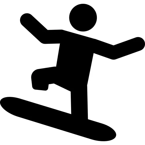 Paralympic alpine ski silhouette