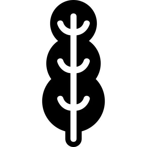 Tall tree rounded shape of three areas