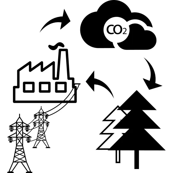 Cycle sketch of bio mass into energy