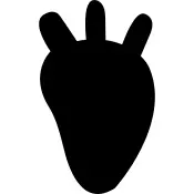 Heart silhouette