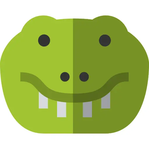 Crocodile
