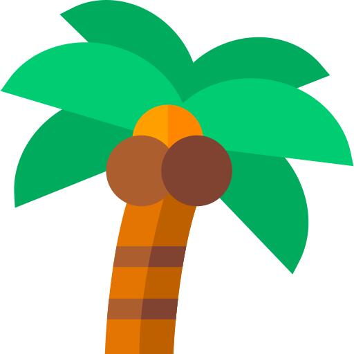 Coconut tree