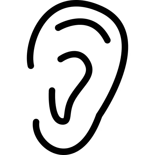 Ear