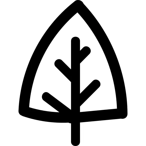 Tree gross outline of triangular shape