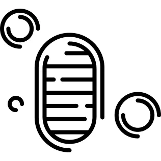 在月球上的Foortprints