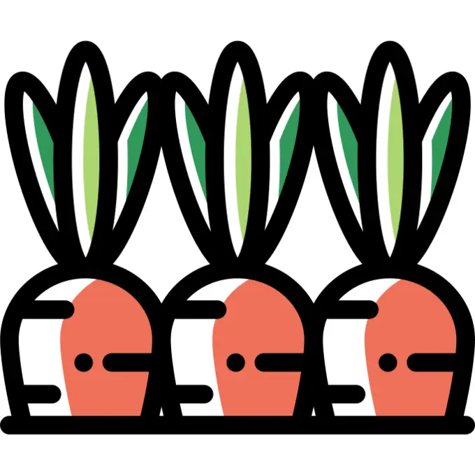 Carrots