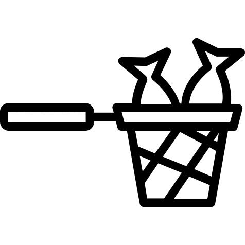 Net