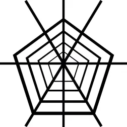 Pentagon Spider Web