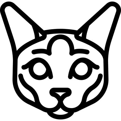 Siamese Cat