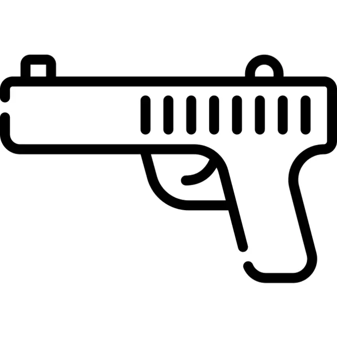 Gun