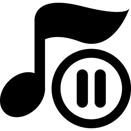 Music player pause button