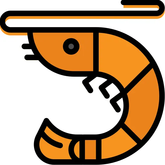 Shrimp