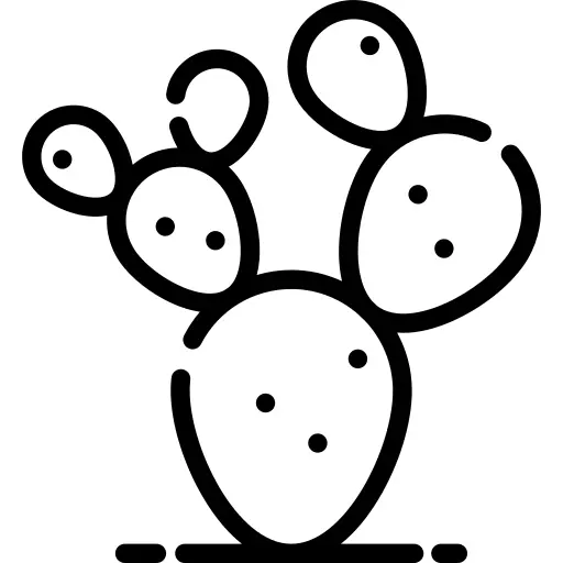 Prickly pear