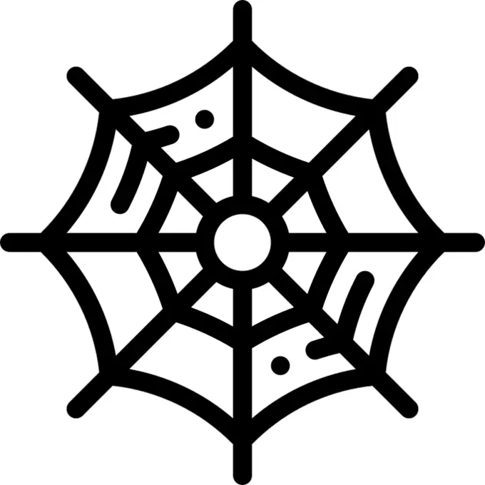 Spider web