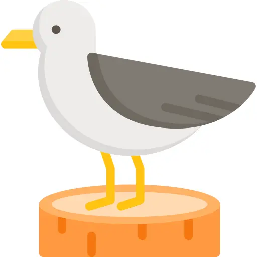 Seagull