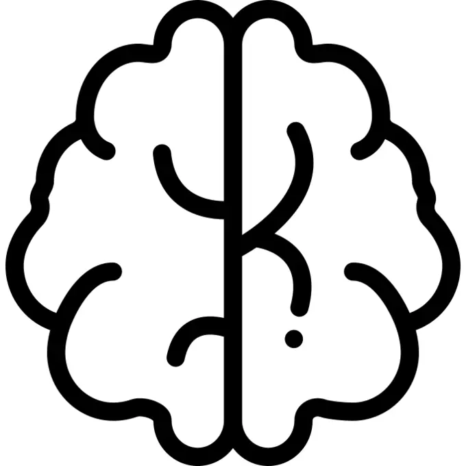Brain