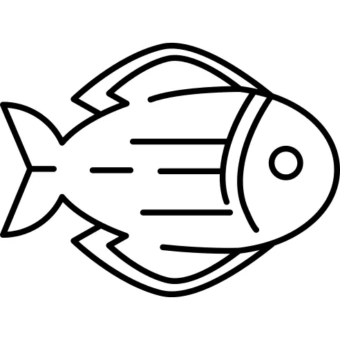 Fish Facing Right
