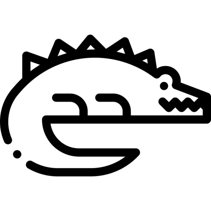 Crocodile
