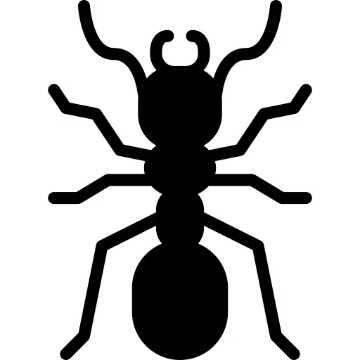 Ant