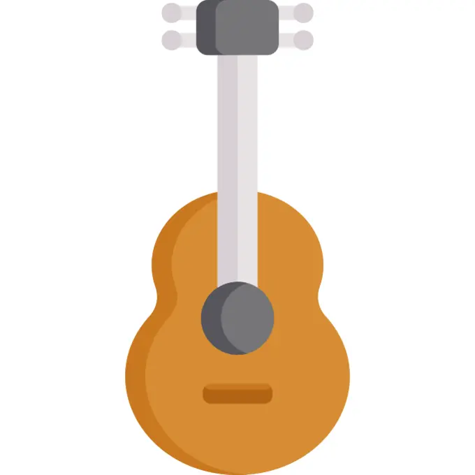 Guitar