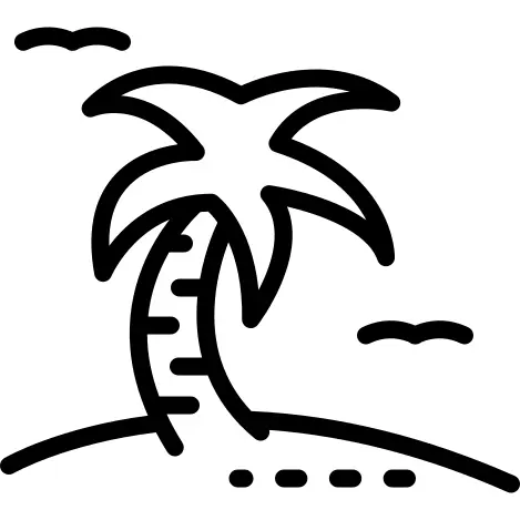 Palm tree