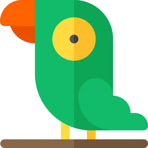 Parrot