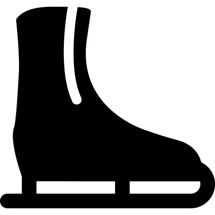Ice Skating Shoe