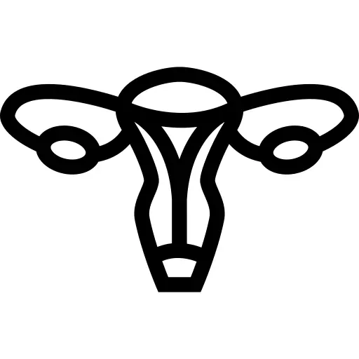 Uterus