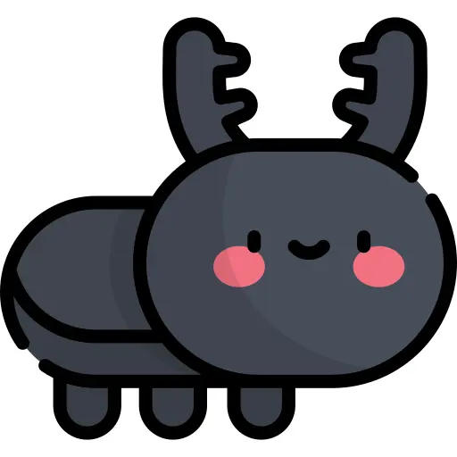 Beetle