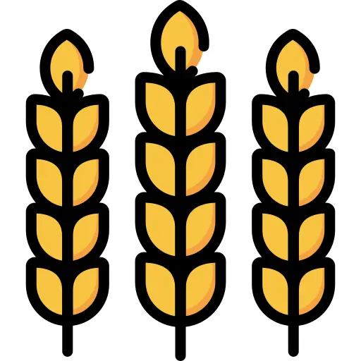 Wheat