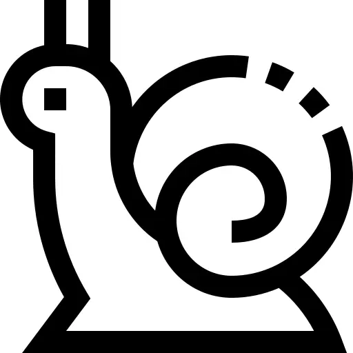 Snail