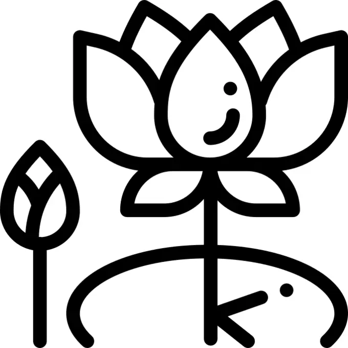 Lotus