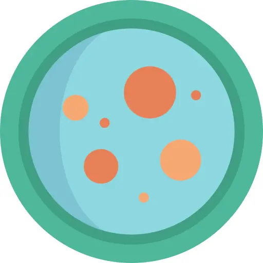 Petri dish