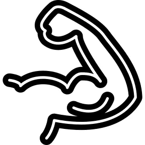 Muscle flex outline