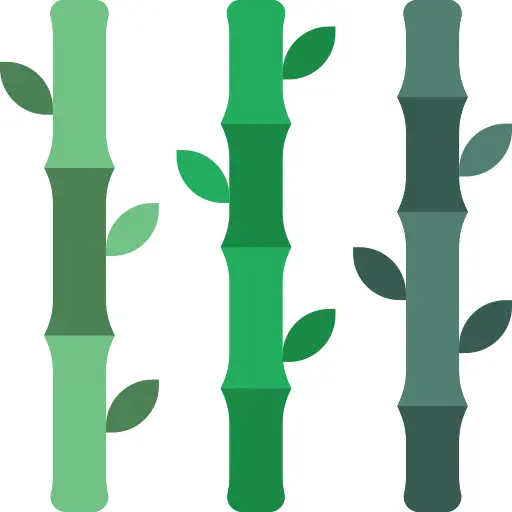Bamboo