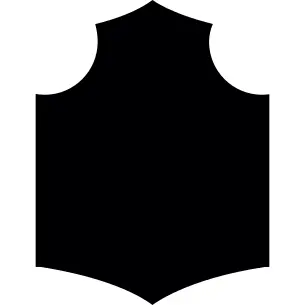 Medieval warrior shield