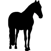 Horse black animal shape