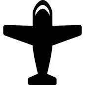 Plane with Big Wings