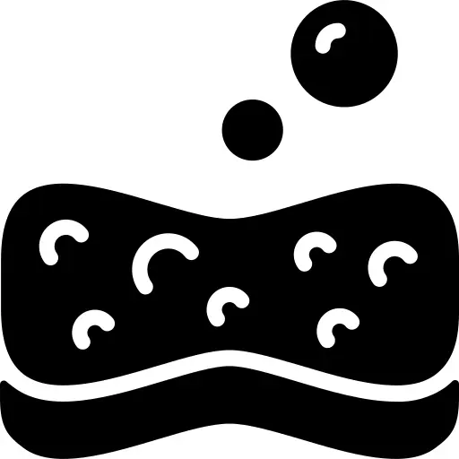 Sponge
