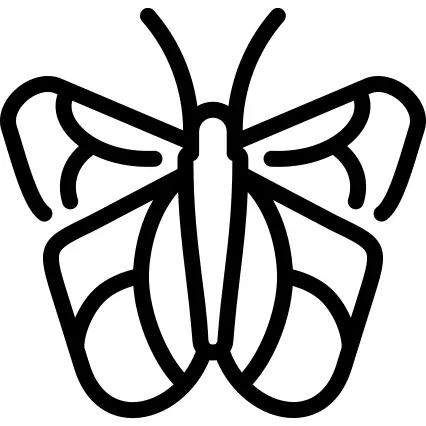 Large blue butterfly