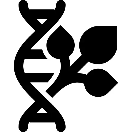 Dna