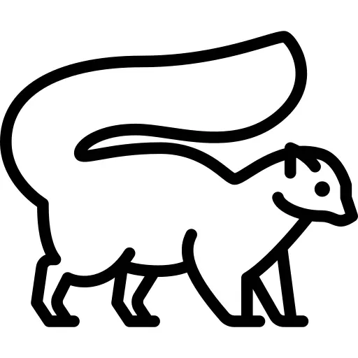 Skunk
