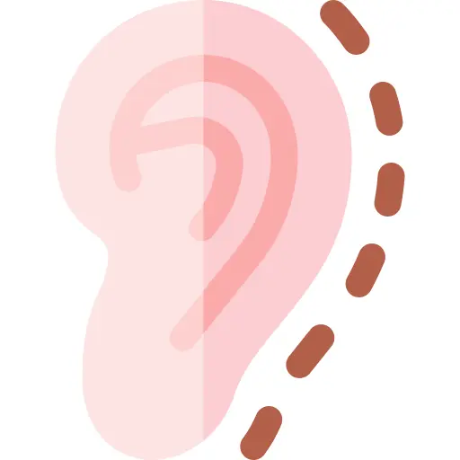 Ear