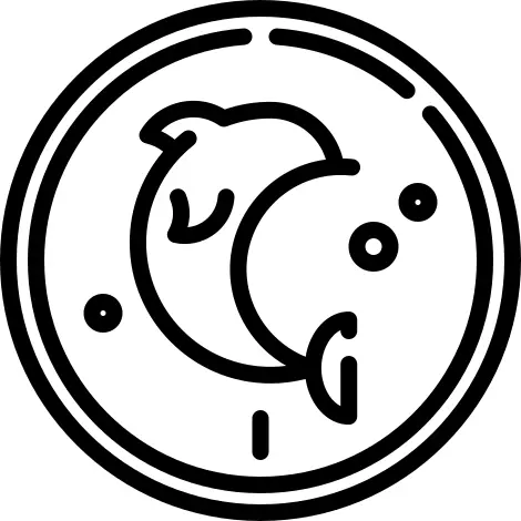 英属维尔京群岛元