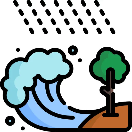 Tsunami