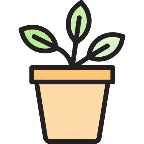 Potted plant