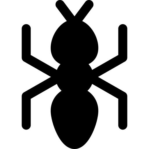 Ant