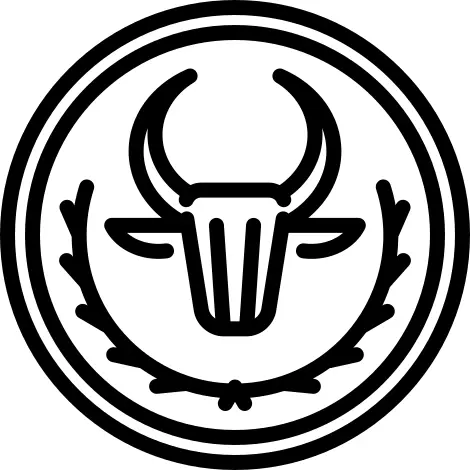 马达加斯加阿里亚里